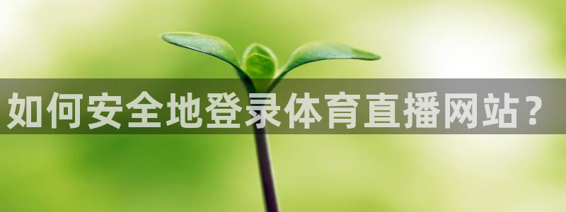 松鼠休闲游戏官网：如何安全地登录体育直播网站？