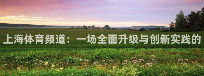 松鼠体育在线直播：上海体育频道：一场全面升级与创新实践的