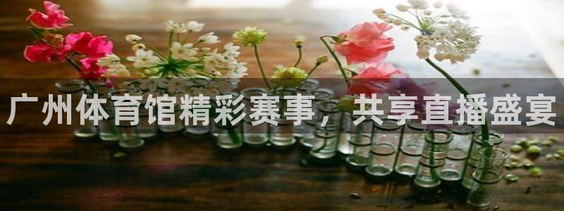松鼠平台：广州体育馆精彩赛事，共享直播盛宴