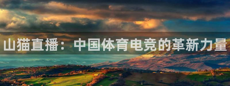 下载松鼠电视直播：山猫直播：中国体育电竞的革新力量