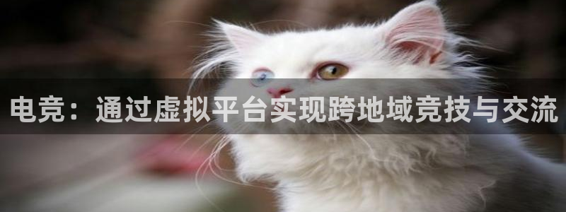 松鼠休闲游戏官网：电竞：通过虚拟平台实现跨地域竞技与交流